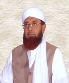 خواجه محمد طاهر بخشي، نقشبندي