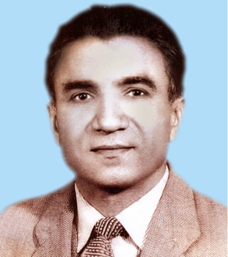 محمد حسين ترڪ