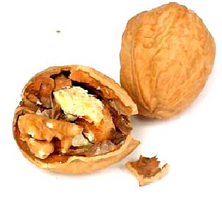 اکڙوٽ/اخروٽ
