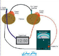 پٽاٽو بيٽري جي تصوير