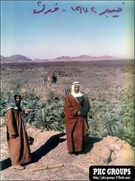 باغ فدڪ خيبر جو هڪ منظر