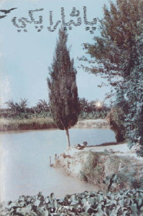 پاڻيارا پکي ڪتاب جي تصوير