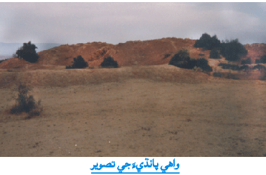 واهي پانڌي جي تصوير