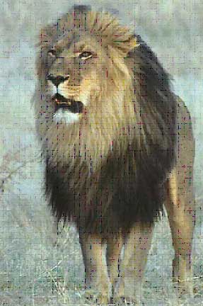 ببر شينهن