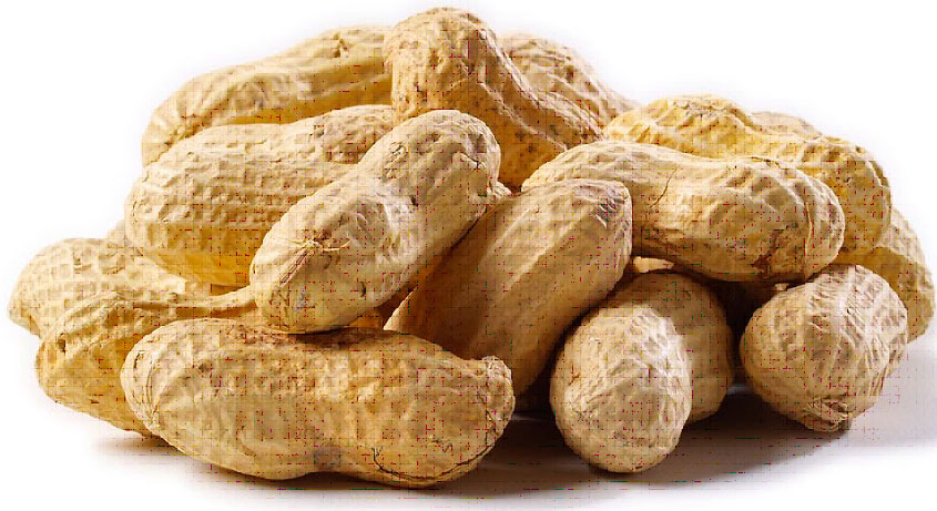 بوهي مڱ مڱ ڦلي يا مڱيرا
