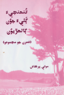 تنهنجي ڳليءَ جون ڳالهڙيون- ڪتاب