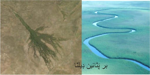بر پٽائين ڊيلٽا