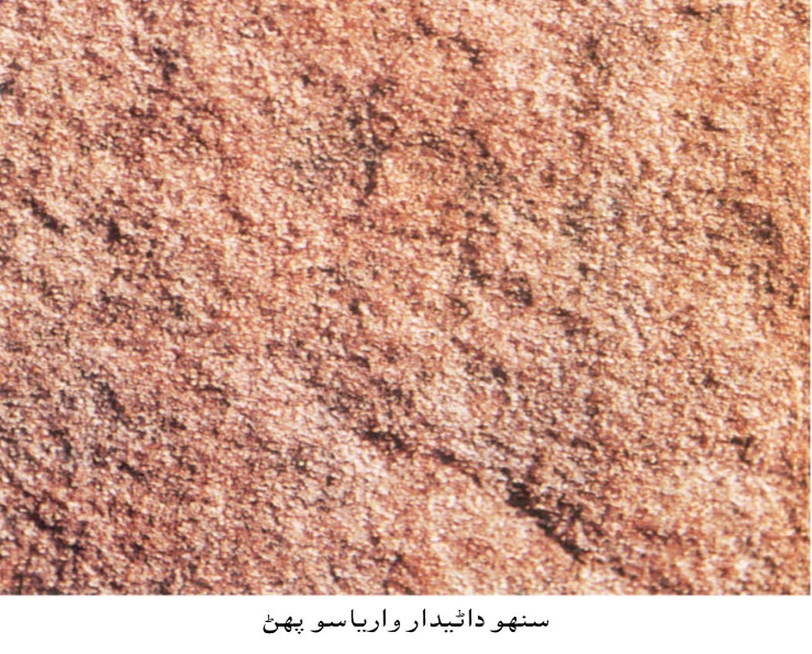 سنهو داڻيدار وارياسو پهڻ