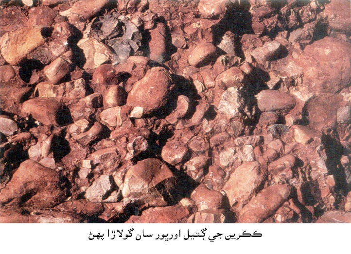 ڪڪرين جي ڳتيل اورڀور سان گولاڙا پهڻ