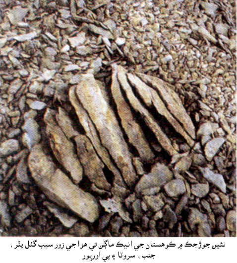نئين جوڙجڪ ۾ ڪوهستان جي انيڪ ماڳن تي هوا جي زورسبب گٺل پٿر، جنب، سروٽا ۽ ٻي اورڀور
