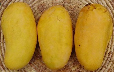 انب
