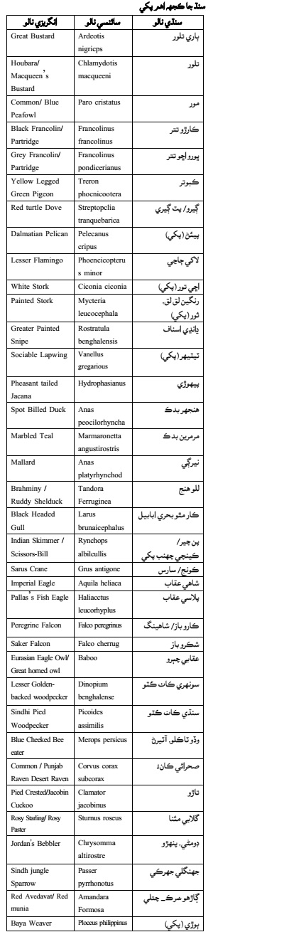سنڌ جا ڪجھ اهم پکي