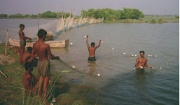 چمڙي جو سامان