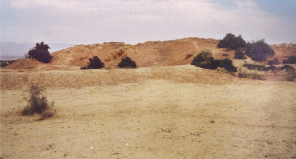 واهي پانڌي دڙو
