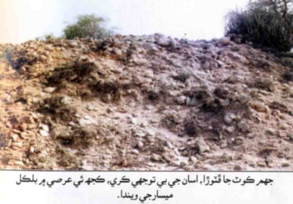 جھم ڪوٽ