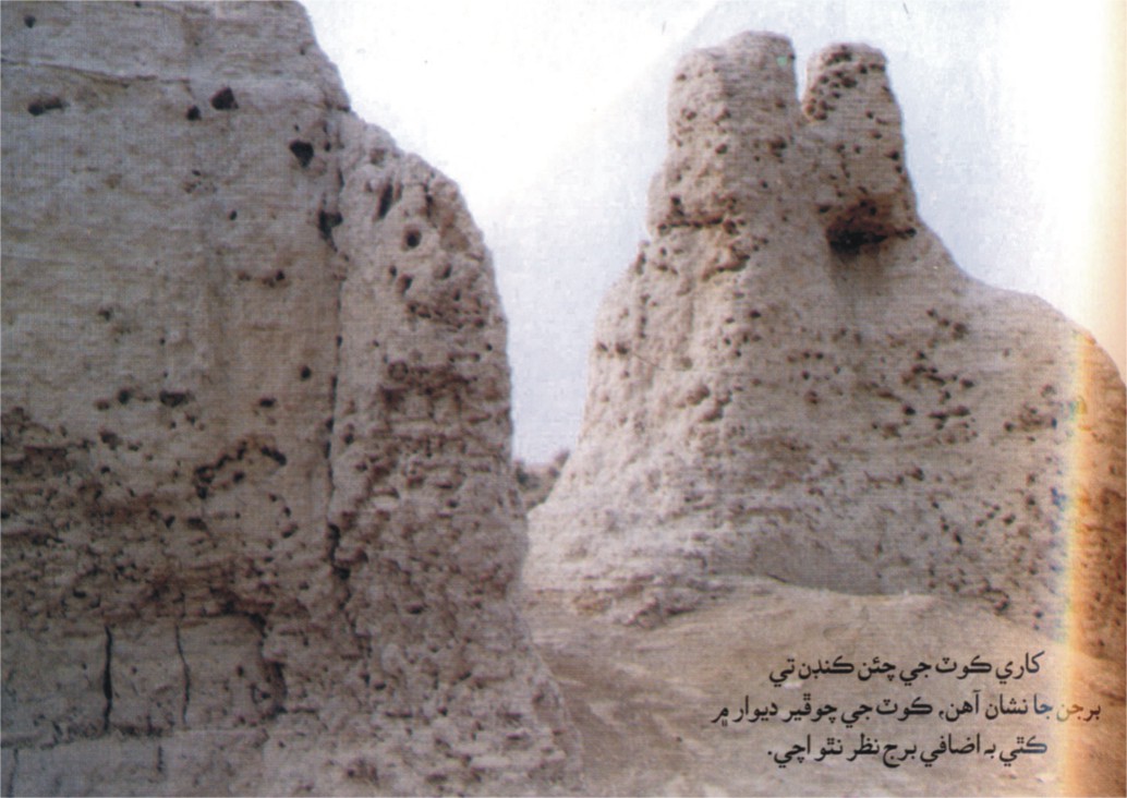 کاري ڪوٽ