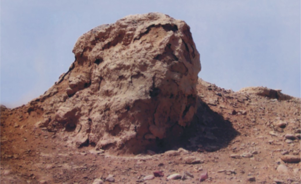 لوڻي ڪوٽ ديوار