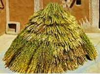 دن/ ڪالر