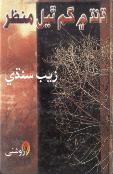 ڌنڌ ۾ گم ٿيل منظر