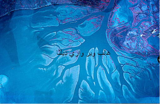 غالب وِير واري ڊيلٽا