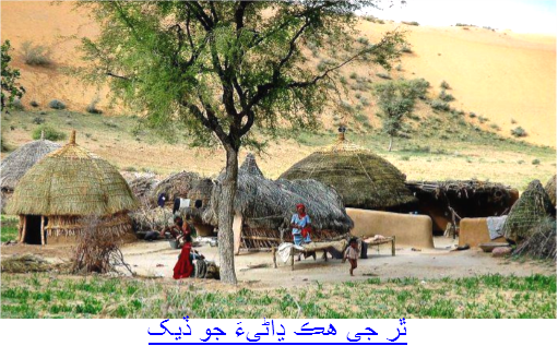 ٿر جي هڪ ڍاڻيءَ جو ڏيک