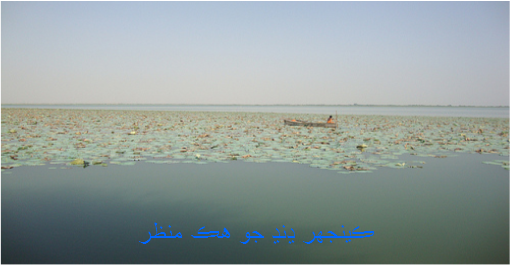 ڪينجھر ڍنڍ جو هڪ منظر