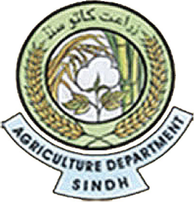 زراعت کاتو سنڌ