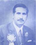 پرويش شاهين