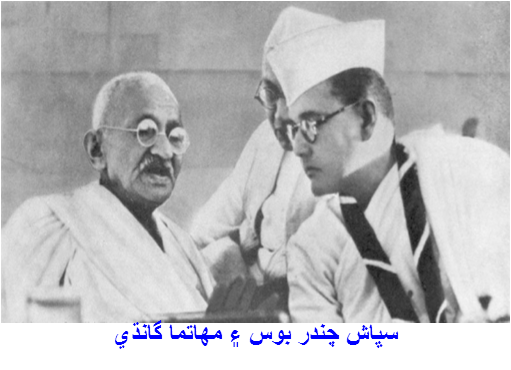 سڀاش چندر بوس ۽ مهاتما گانڌي