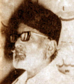 سيد سردار علي شاهه ذاڪر