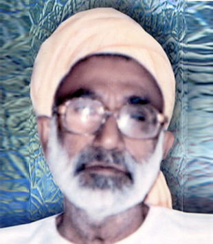 سيد مظفر علي شاهه مظفر