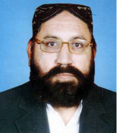 امين مگسي