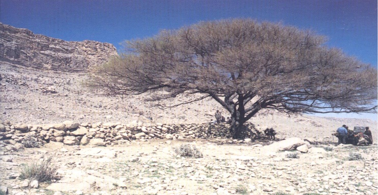 ڪوهستاني علائقو