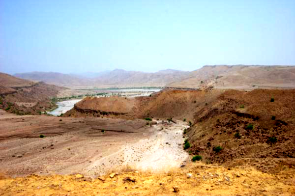 گاج نئن