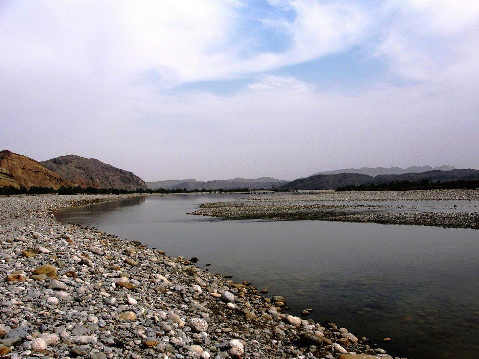 نئن گاج