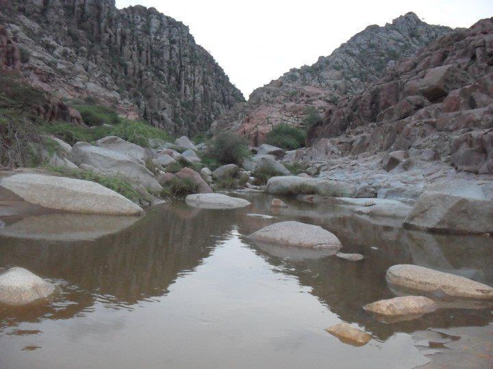 ڀٽياڻي نئن
