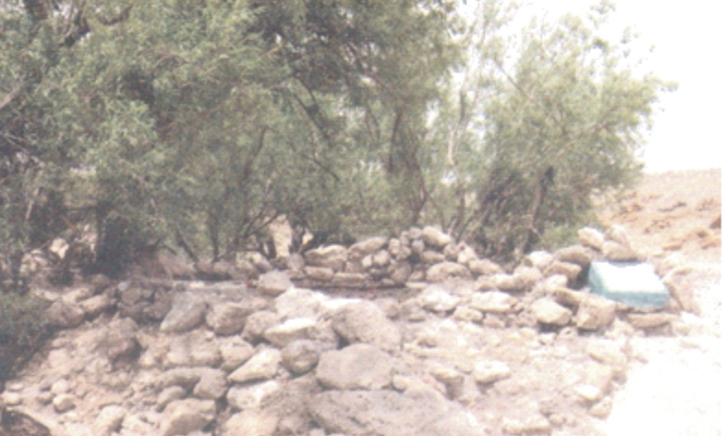 نئيگ شريف وارو تڪيو