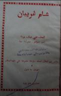 شامِ غريبان2