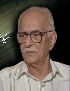 شوڪت حسين رضوي