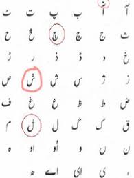 شينا 2