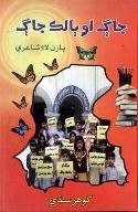 جاڳ او ٻالڪ جاڳ