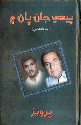 پيهي جان پاڻ ۾