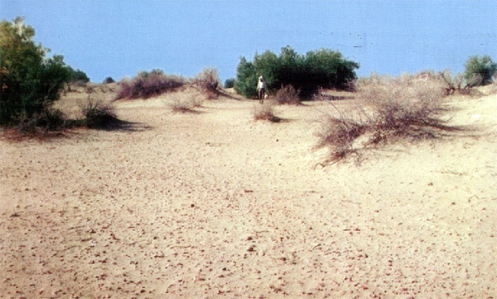 طاهر فقير جي ڀٽ