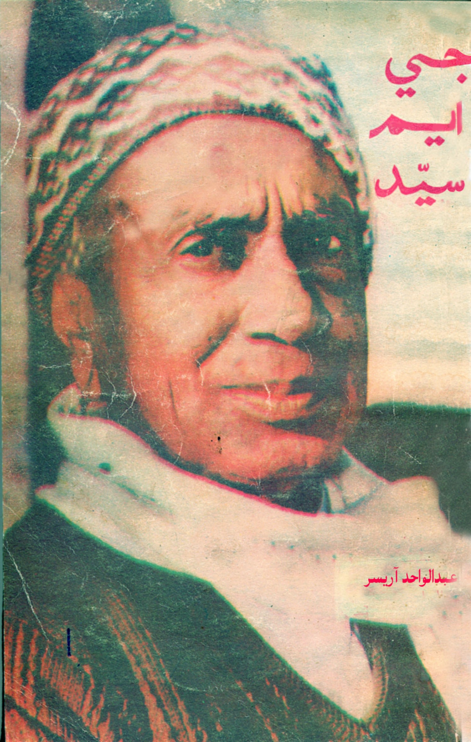 جي ايم سيد (ڪتاب)2