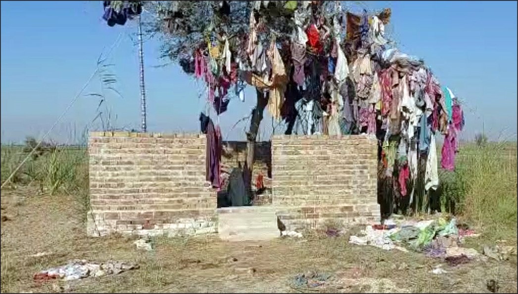اميد علي شاهه اميدن ڀريو