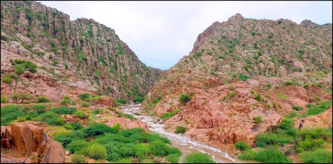 ڪارونجهر